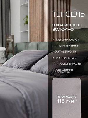 Постельное бельё Этель 2сп Tencel 180*210см, 220*245см, 50*70см-2шт, цвет серый
