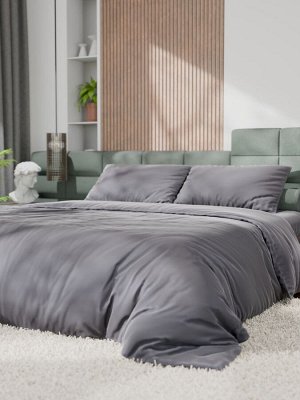 Постельное бельё Этель 2сп Tencel 180*210см, 220*245см, 50*70см-2шт, цвет серый