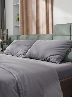 Постельное бельё Этель 2сп Tencel 180*210см, 220*245см, 50*70см-2шт, цвет серый