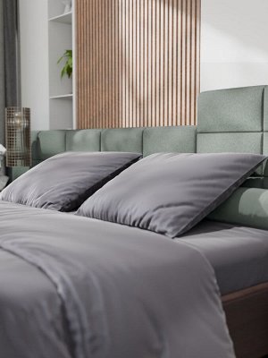 Постельное бельё Этель 2сп Tencel 180*210см, 220*245см, 50*70см-2шт, цвет серый