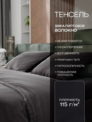 Постельное бельё Этель 2сп Tencel 180*210см, 220*245см, 50*70см-2шт, цвет чёрный