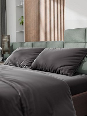 Постельное бельё Этель 2сп Tencel 180*210см, 220*245см, 50*70см-2шт, цвет чёрный
