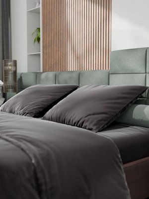 Постельное бельё Этель 2сп Tencel 180*210см, 220*245см, 50*70см-2шт, цвет чёрный