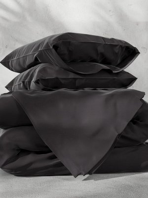 Постельное бельё Этель 2сп Tencel 180*210см, 220*245см, 50*70см-2шт, цвет чёрный