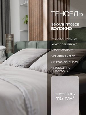 Постельное бельё Этель 2сп Tencel 180*210см, 220*245см, 50*70см-2шт, цвет светло-серый