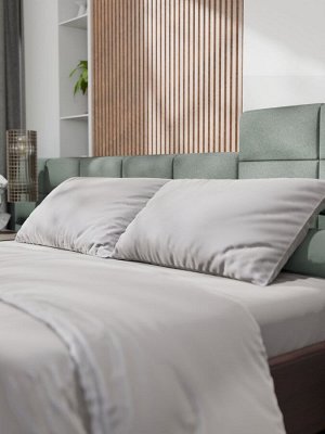 Постельное бельё Этель 2сп Tencel 180*210см, 220*245см, 50*70см-2шт, цвет светло-серый