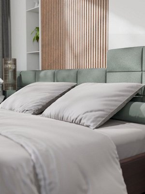 Постельное бельё Этель 2сп Tencel 180*210см, 220*245см, 50*70см-2шт, цвет светло-серый