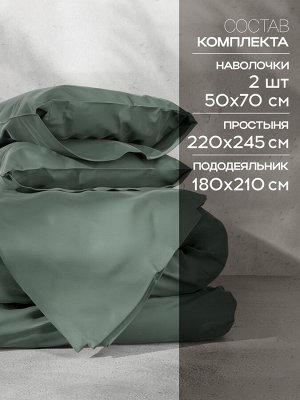 Постельное бельё Этель 2сп Tencel 180*210см, 220*245см, 50*70см-2шт, цвет оливковый