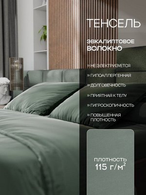 Постельное бельё Этель 2сп Tencel 180*210см, 220*245см, 50*70см-2шт, цвет оливковый