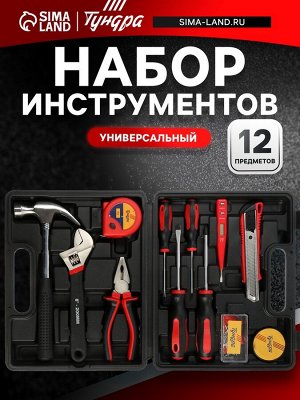 Набор инструментов в кейсе ТУНДРА, универсальный, 12 предметов
