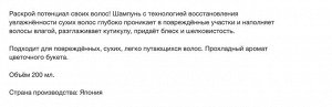 Шампунь "Essential" для сухих и повреждённых волос разглаживающий кутикулу "Увлажнение" 200 мл, Япония