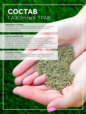 Газонная травосмесь "Быстрый газон", 1 кг