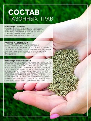 Газонная травосмесь «Гном», 750 г