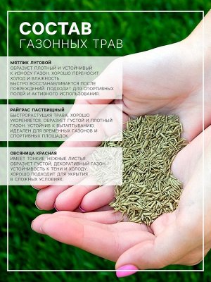 Газонная травосмесь «Спортивная», 1 кг