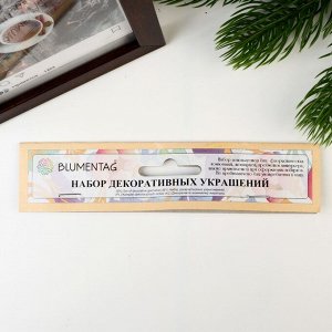 Набор декоративных украшений Blumentag (серебро) 90 гр