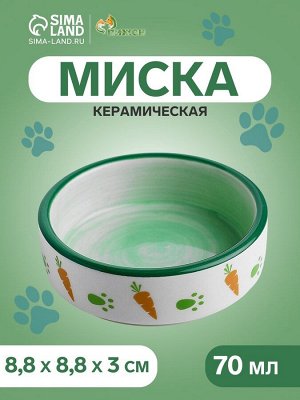 Миска керамическая "Морковки и лапки" 70 мл - 8,8 х 8,8 х 3 см, зелёная/белая