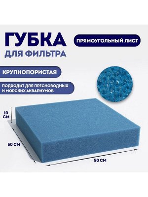 Губка прямоугольная, крупнопористая, лист 50x50x10 см, синий
