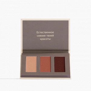 Трио палетка теней для век Pure Makeup, цвет Матовая
