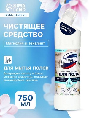 Средство для пола и других поверхностей «Доместос», концентрат, магнолия, 750 мл