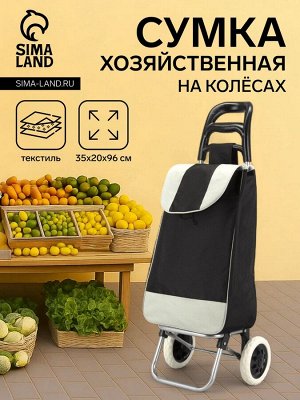 Сумка-тележка хозяйственная на шнуре, цвет чёрный