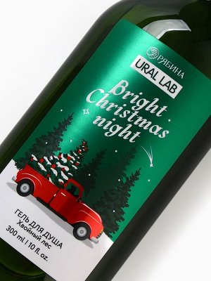 Подарочный набор Bright Christmas night, гель для душа 300 мл и соль для ванны 200 мл, URAL LAB