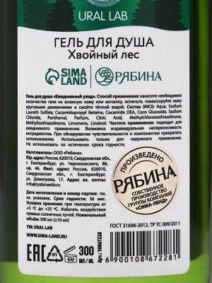 Подарочный набор Bright Christmas night, гель для душа 300 мл и соль для ванны 200 мл, URAL LAB