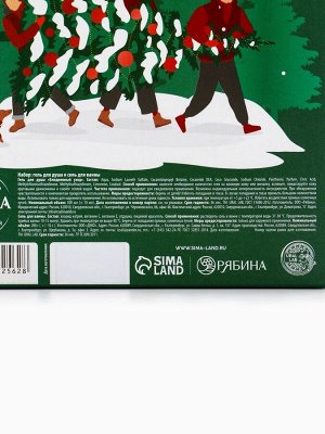 Подарочный набор Bright Christmas night, гель для душа 300 мл и соль для ванны 200 мл, URAL LAB