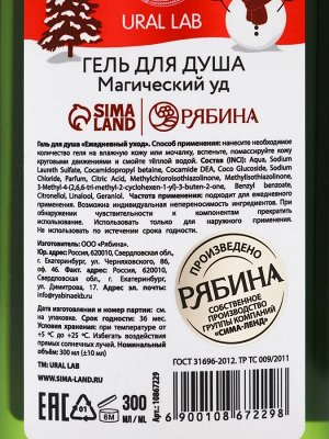 Подарочный набор Magical warm winter, гель для душа 300 мл и соль для ванны 200 мл, URAL LAB