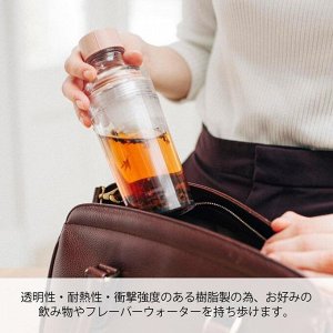 HARIO Filter-in-Bottle Portable 400ml - портативная бутылка с фильтром для холодного заваривания чая и фруктов