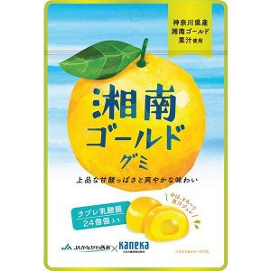 KANEKA Shonan Gold Citrus Gummies with Probiotics – цитрусовые мармеладки с пробиотиками