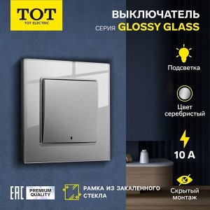 Выключатель TOT Glossy Glass, 10 А, 1 клавиша, с подсветкой, скрытый монтаж, стеклянная рамка, серебристый