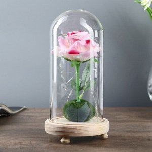 Ночник "Розовая роза" LED 3ААА 10х10х20 см