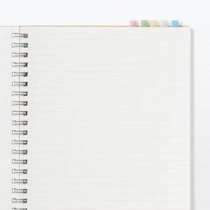 MUJI Index Sticky Notes – тонкие стикеры-индексы из плёнки, 5 цветов, по 10 штук в 6 полосках