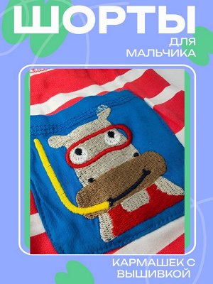 Шорты для мальчика красные в белую полоску