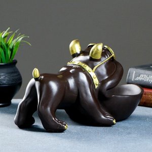 Шкатулка для мелочей "Бульдог" шоколад 16х27см