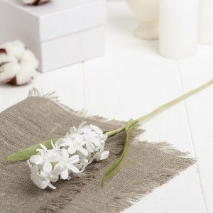 Искусственный цветок "Карликовое соцветие имбиря" белый 33 см