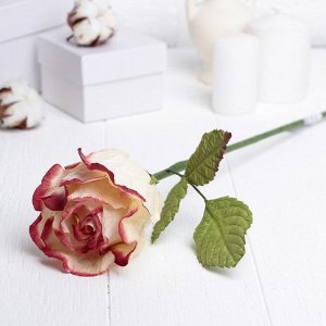 Декоративный цветок "Бело-розовая роза"