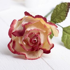 Декоративный цветок "Бело-розовая роза"