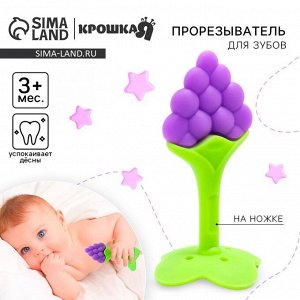 Прорезыватель силиконовый Крошка Я «Виноградик», на ножке