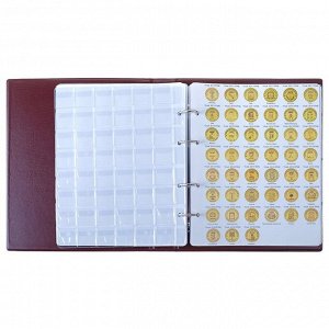 Альбом для монет на кольцах Calligrata, 225 х 265 мм, «Памятные монеты РФ», обложка искусственная кожа, 9 листов и 9 цветных картонных вставок, микс
