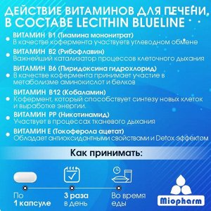 Лецитин, капс. 670 мг, №100 (БАД) BlueLine