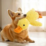 Зоотовары! Всё нужное для ваших питомцев