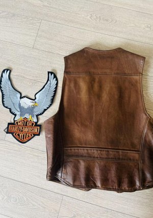 Змей 🪁Еще нашивка Harley-Davidson Motorcycle Upwing Eagle (USA)