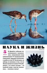 ПИ НАУКА И ЖИЗНЬ 5/25