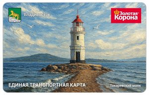 Транспортная карта Токаревский маяк