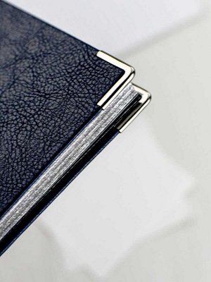 Дневник школьный, формат А5+, 48л., интегральный переплёт, искусственная кожа "Наппа", тиснение фольгой, металлические уголки
