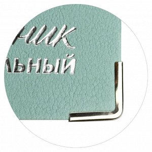 Дневник школьный, формат А5+, 48л., интегральный переплёт, искусственная кожа "Буйвол", тиснение фольгой, металлические уголки
