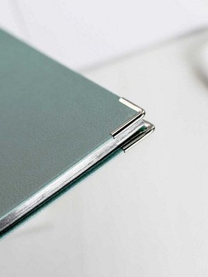 Дневник школьный, формат А5+, 48л., интегральный переплёт, искусственная кожа "Буйвол", тиснение фольгой, металлические уголки