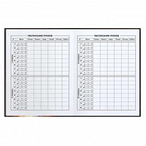 Дневник школьный, А5+, 48 л, интегральный переплёт, конгрев, выборочный УФ-лак, матовая ламинация