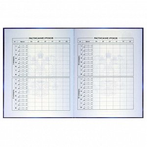 Дневник российского школьника, А5+, 48 л, интегральный переплёт, конгрев, выборочный УФ-лак, матовая ламинация